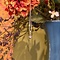 vintage Witgouden solitair hanger met diamant 14 krt