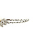 vintage White gold bracelet with diamond and pearl 18 cm 14 krt