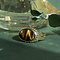 vintage Ring met tijgeroog 9 krt