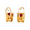 vintage Vintage gold earrings with ruby 18 krt