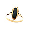 vintage Gouden vintage ring met hematiet 14 krt