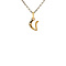 vintage Gouden letter V hanger met diamant 14 krt