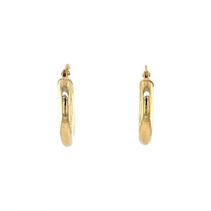 Smooth earrings 9 kt