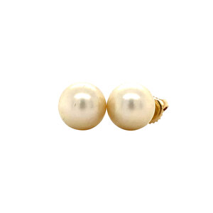 Gold ear studs with pearl 14 krt