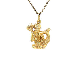 Gold Aquarius pendant 14 krt