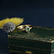 vintage Entourage ring met smaragd en diamant 9 krt