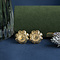 vintage Golden vintage coin earrings 14 kt