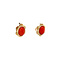 vintage Golden vintage drop earrings with blood coral 14 ct