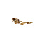 vintage Gouden vintage broche met roosdiamant 14 krt