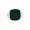 vintage Golden vintage signet ring with bloodstone 14 kt