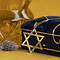 vintage Gouden vintage Davidster hanger 14 krt