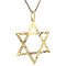 vintage Gold vintage Star of David pendant 14 kt
