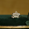 vintage Gouden vintage bus hanger 14 krt