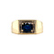 vintage Gouden vintage zegel ring met saffier 14 krt