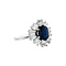 vintage Witgouden vintage entourage ring met saffier en diamant 14 kt