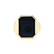 vintage Gouden vintage zegelring met onyx 14 kt
