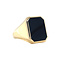 vintage Gouden vintage zegelring met onyx 14 kt