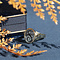vintage Gouden vintage zegelring met blauwe laagsteen 14 krt