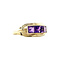 vintage Vintage trigolie ring with amethyst 8 kt