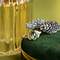 vintage Jane ring 14 krt - Poolside party