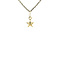 vintage Gouden vintage ster hanger 18 kt
