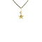 vintage Gouden vintage ster hanger 18 kt