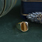 vintage Gouden vintage zegelring met tijgeroog 14 kt