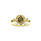 vintage Gouden vintage entourage ring met granaat 14 kt