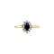 vintage Gouden vintage entourage ring met saffier en diamant 14 kt
