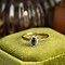 vintage Gold vintage entourage ring with sapphire and diamond 14 kt