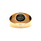 vintage Gouden vintage ring met hematiet 14 kt