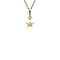 vintage Golden vintage star pendant 14 kt