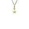 vintage Golden vintage star pendant 14 kt