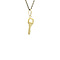 vintage Golden vintage key pendant 14 kt