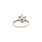 vintage Witgouden vintage entourage ring met diamant 14 kt
