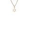 vintage Golden vintage Star of David pendant 14 kt