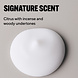 STMNT Aftershave Lotion