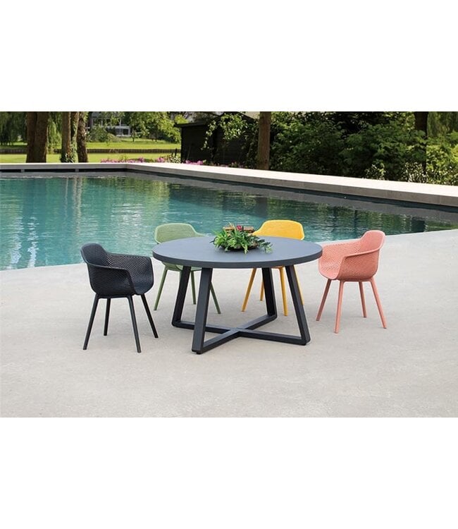 Mona Dining Armchair