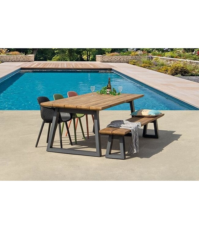 Mona Dining Armchair