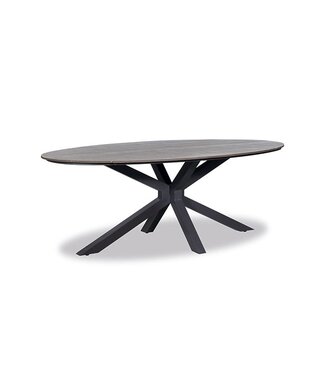 Dining tuintafel 'Roof' 220 cm