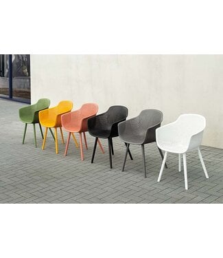 Mona Dining Armchair