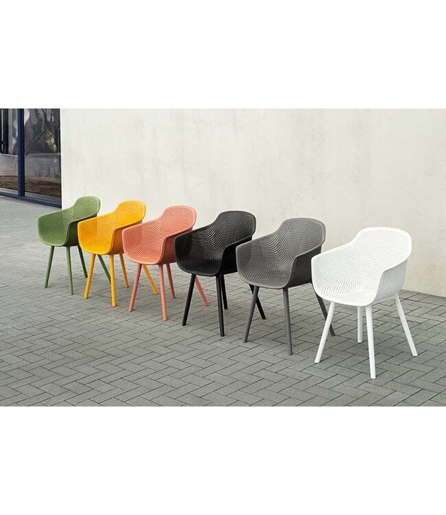 Mona Dining Armchair