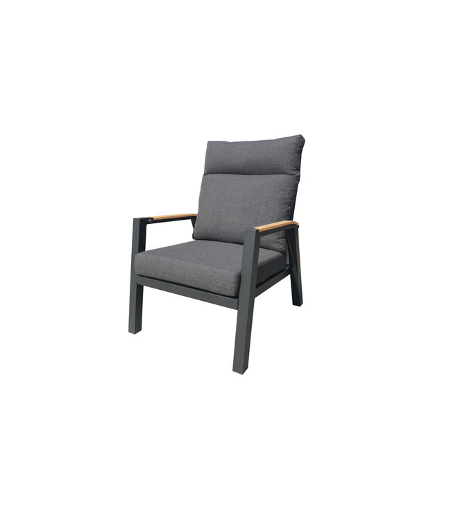 Citerna Relaxfauteuil inclusief zit- en rugkussen