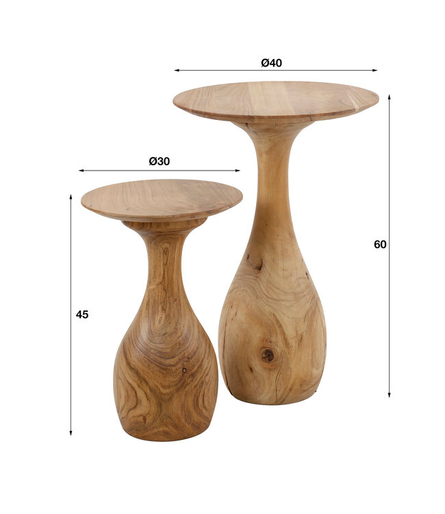 Pins Salontafel set van 2