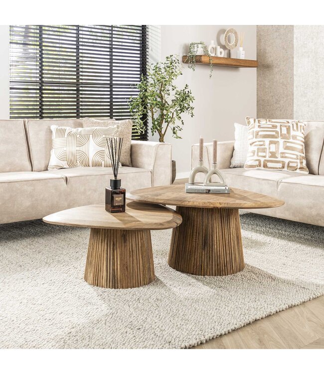 Eleo salontafel set van 2