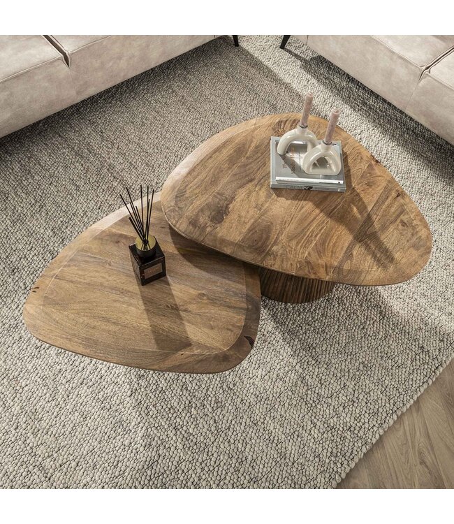 Eleo salontafel set van 2