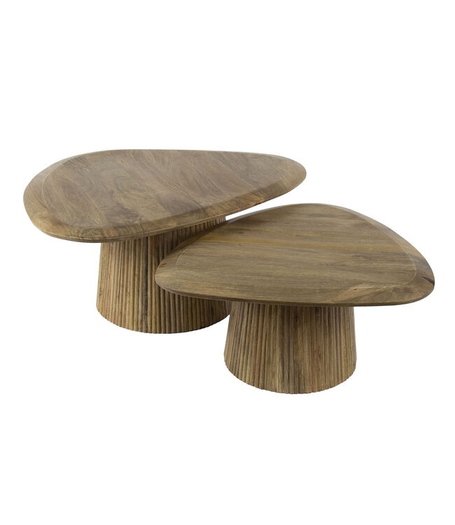 Eleo salontafel set van 2