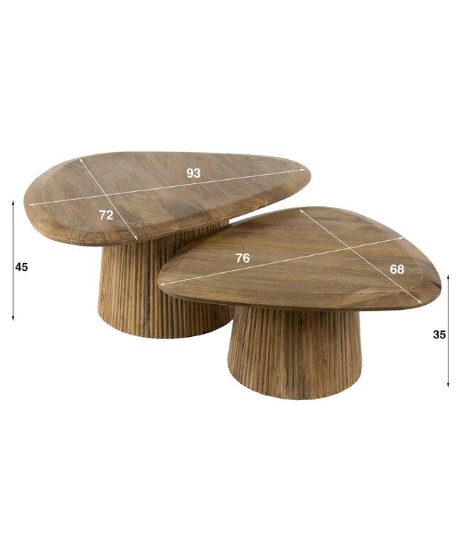 Eleo salontafel set van 2