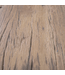 Roots TV-Kast