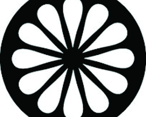 Binnenkort bij Padelshop Vibora verkrijgbaar; The Indian Maharadja